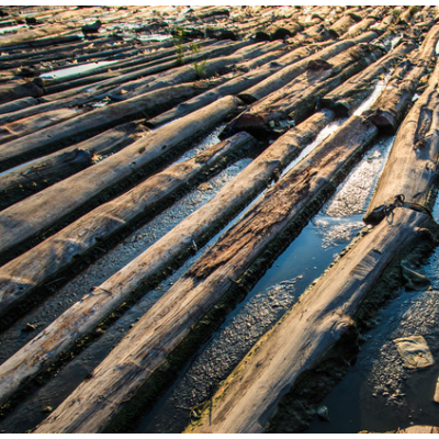 木业行业的应用